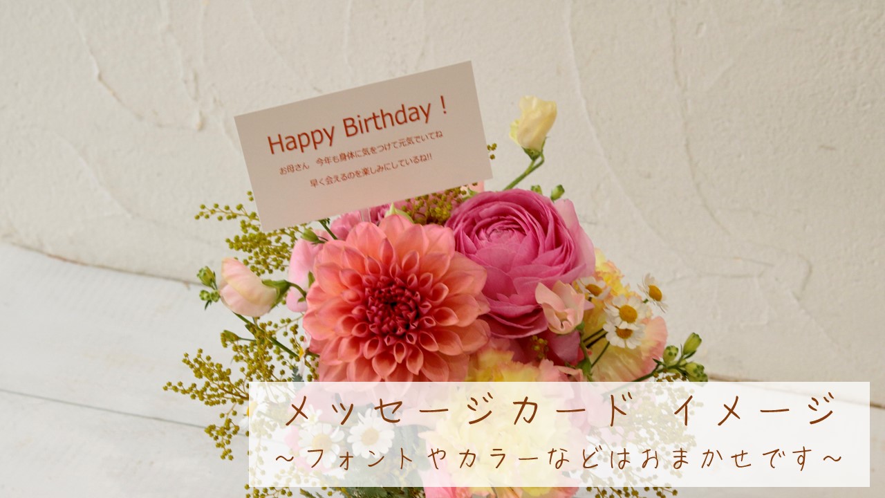 母の日 花鉢 アジサイ コットンキャンディー フラワーギフト プレゼント フラワーショップ ブ ブラン